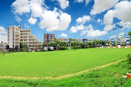 daffodil-green-campus.jpg